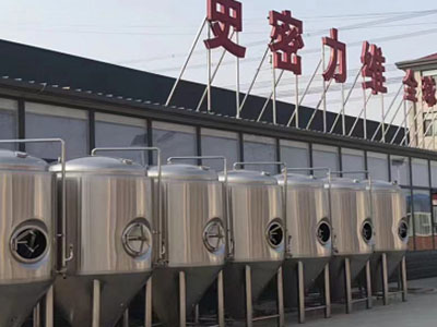 安丘精酿啤酒设备厂—如何判断精酿啤酒设备的密封件需要更换？